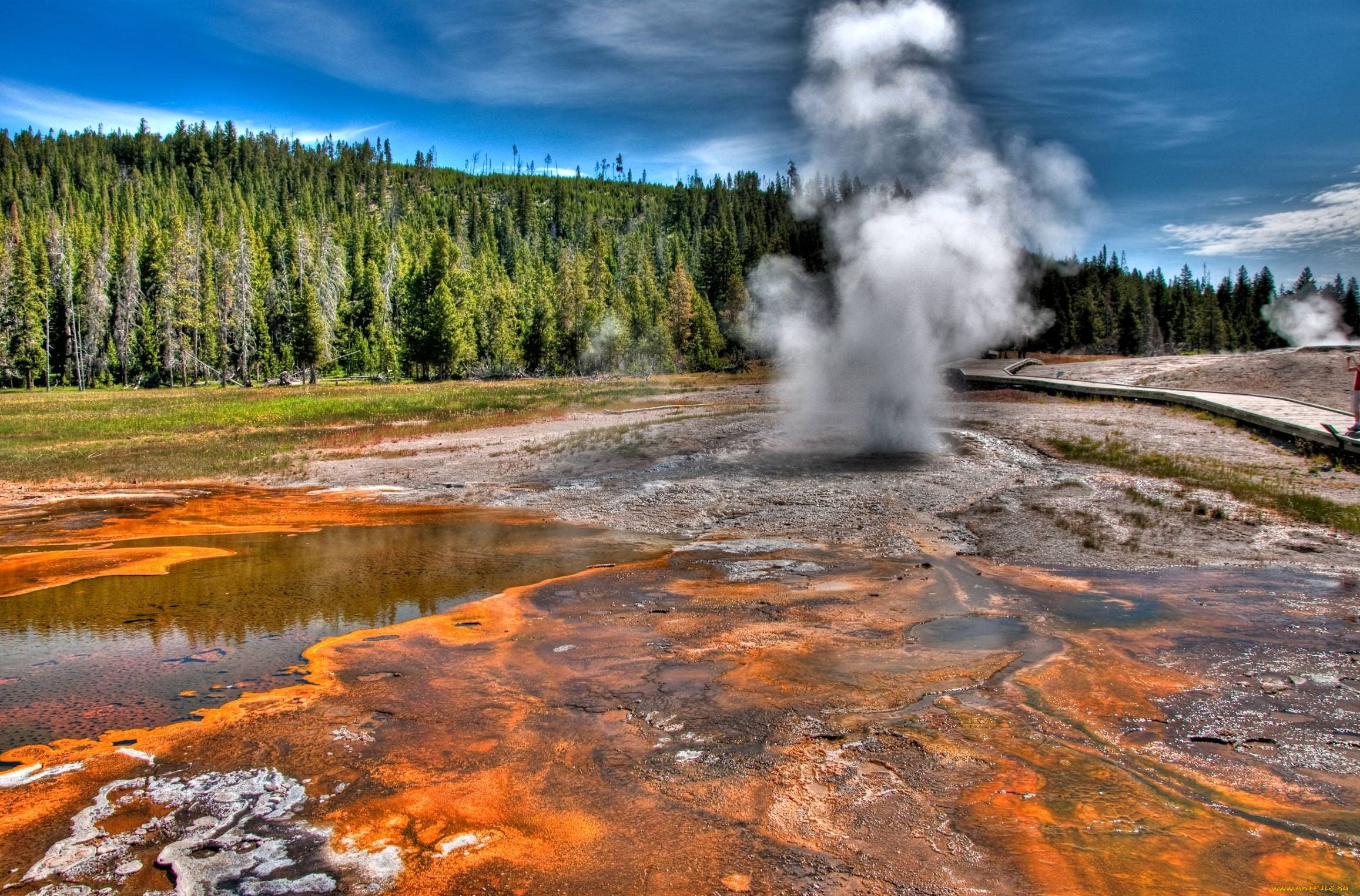 , , , yellowstone